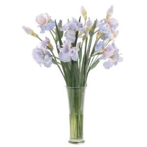  FAB Flowers French Blue Bearded Iris in a Tall Drink of 