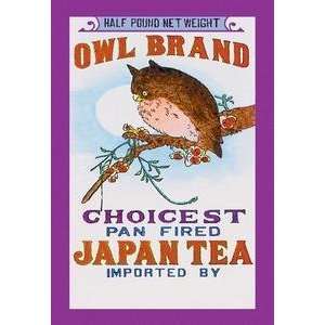  Vintage Art Owl Brand Tea #2   10429 5